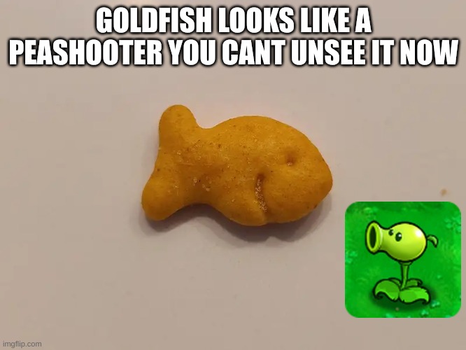 pvz1 meme | GOLDFISH LOOKS LIKE A PEASHOOTER YOU CANT UNSEE IT NOW | image tagged in plants vs zombies,plants | made w/ Imgflip meme maker
