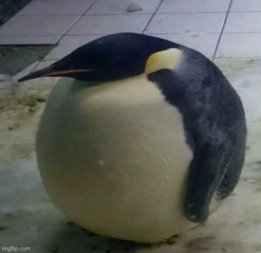 Absolute unit | made w/ Imgflip meme maker