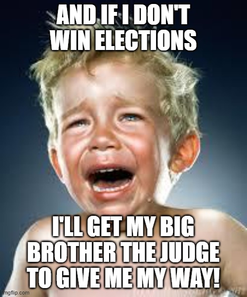 Democrats | AND IF I DON'T WIN ELECTIONS; I'LL GET MY BIG BROTHER THE JUDGE TO GIVE ME MY WAY! | image tagged in crying baby | made w/ Imgflip meme maker