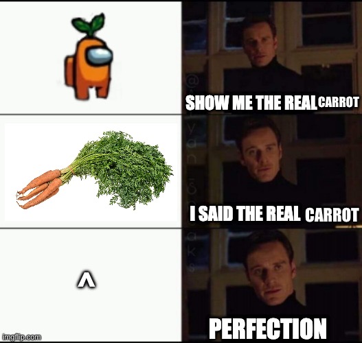 caret | CARROT; CARROT; ^ | image tagged in show me the real,carrot,caret,shitpost | made w/ Imgflip meme maker