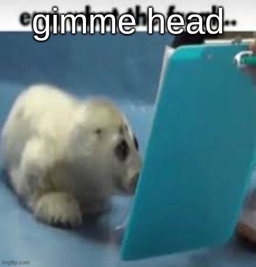 erm what the freak.. | gimme head | image tagged in erm what the freak | made w/ Imgflip meme maker