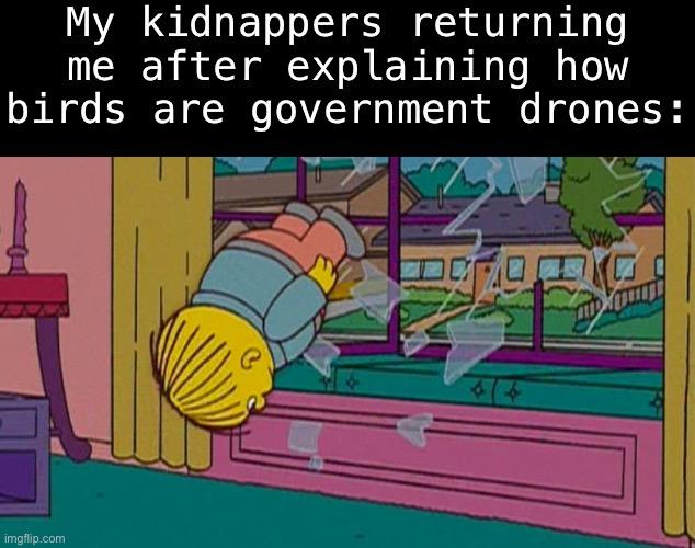 My kidnapper returning me after | My kidnappers returning me after explaining how birds are government drones: | image tagged in my kidnapper returning me after | made w/ Imgflip meme maker