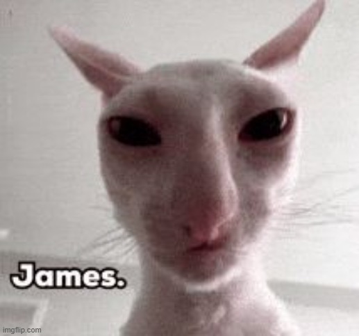 James cat | image tagged in james cat | made w/ Imgflip meme maker