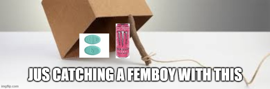 it will work | JUS CATCHING A FEMBOY WITH THIS | made w/ Imgflip meme maker