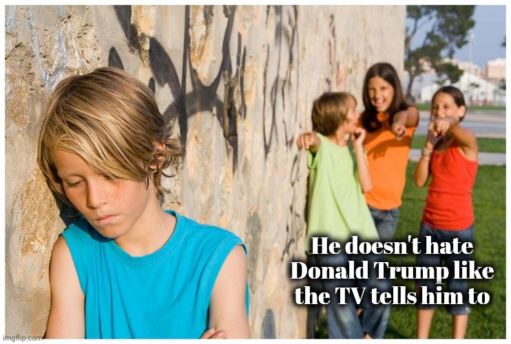 Grooming the Children | He doesn't hate Donald Trump like the TV tells him to | image tagged in kids laughing at other kid,biased media,do what we say,cnn,msnbc,abc | made w/ Imgflip meme maker