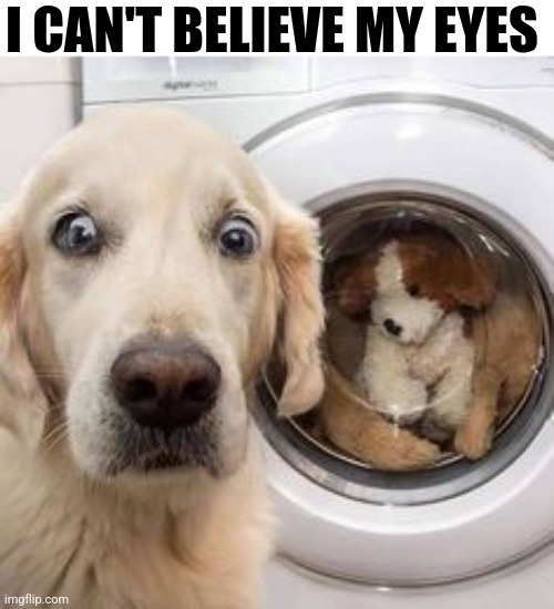 I Can't Believe My Eyes | I CAN'T BELIEVE MY EYES | image tagged in chrisjoines1 | made w/ Imgflip meme maker