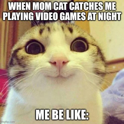 Smiling Cat Meme | WHEN MOM CAT CATCHES ME PLAYING VIDEO GAMES AT NIGHT; ME BE LIKE: | image tagged in memes,smiling cat | made w/ Imgflip meme maker