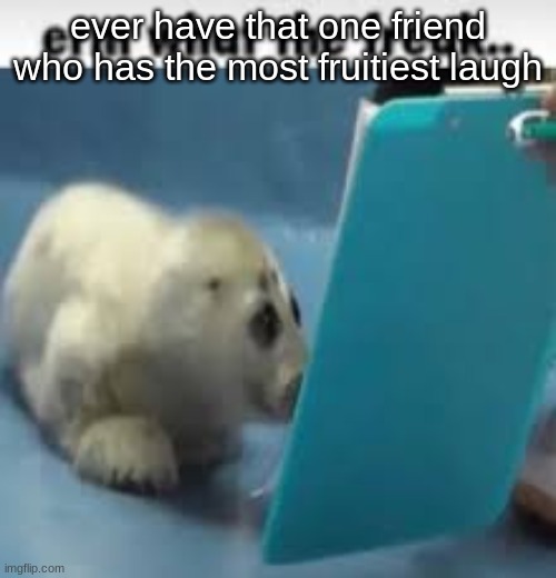 erm what the freak.. | ever have that one friend who has the most fruitiest laugh | image tagged in erm what the freak | made w/ Imgflip meme maker