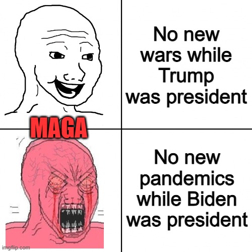 Correlation Is Not Causation Dumbed Down for MAGA | No new wars while Trump was president; MAGA; No new pandemics while Biden was president | image tagged in correlation is not causation dumbed down for maga,correlation is not causation | made w/ Imgflip meme maker