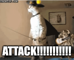 attack!!!!!!!!!!! - Imgflip