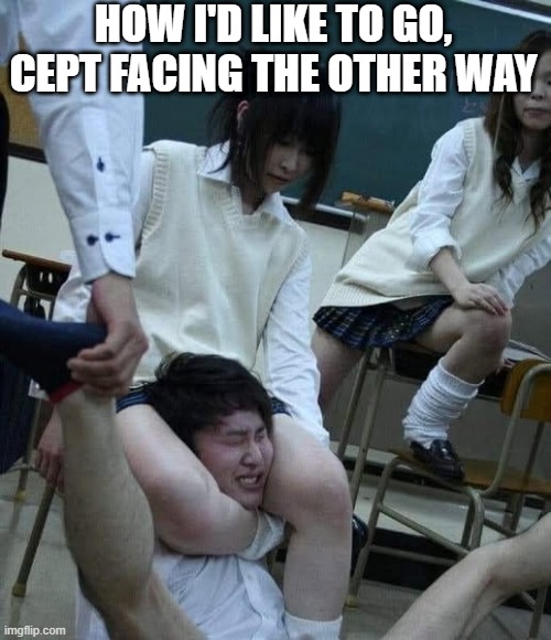 Thigh Crush | HOW I'D LIKE TO GO, CEPT FACING THE OTHER WAY | image tagged in sex jokes | made w/ Imgflip meme maker