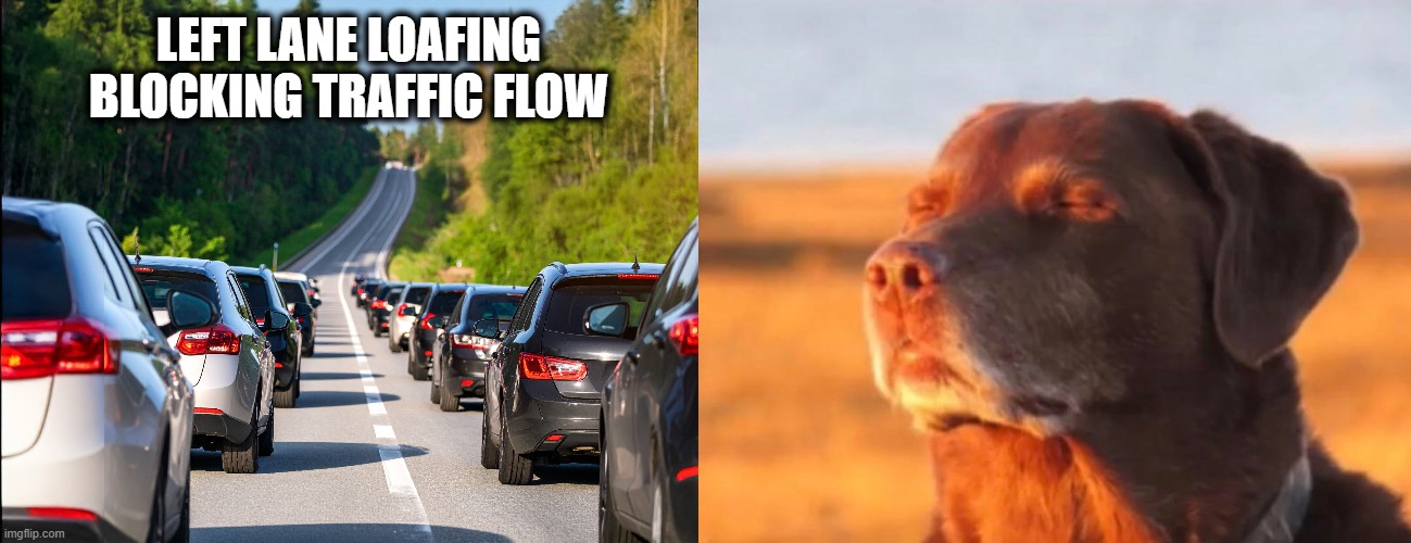 Blocking the Left Lane | LEFT LANE LOAFING
BLOCKING TRAFFIC FLOW | image tagged in dog accepting fate,traffic,traffic jam,slowpoke | made w/ Imgflip meme maker