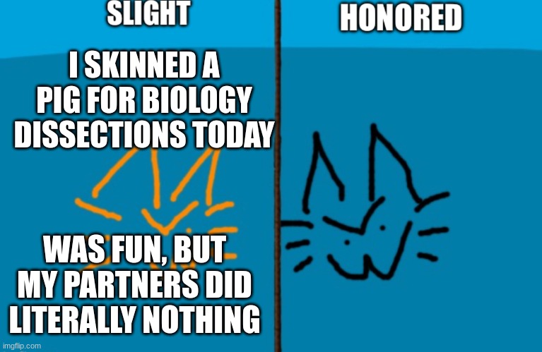 oh well, at least i can make a football out of him | I SKINNED A PIG FOR BIOLOGY DISSECTIONS TODAY; WAS FUN, BUT MY PARTNERS DID LITERALLY NOTHING | image tagged in shared duped for accessibility for me | made w/ Imgflip meme maker