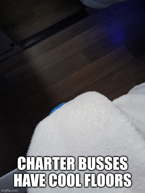 Virginia YIPEEEEE | CHARTER BUSSES HAVE COOL FLOORS | made w/ Imgflip meme maker