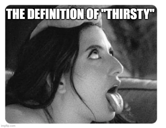 Thirsty | THE DEFINITION OF "THIRSTY" | image tagged in sex jokes | made w/ Imgflip meme maker