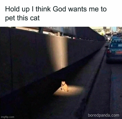 PET THE CAT! | made w/ Imgflip meme maker