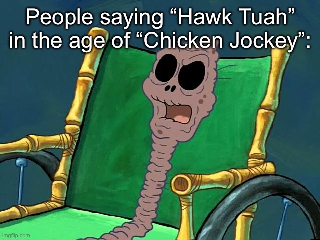 Spongebob Old Lady | People saying “Hawk Tuah” in the age of “Chicken Jockey”: | image tagged in spongebob old lady | made w/ Imgflip meme maker