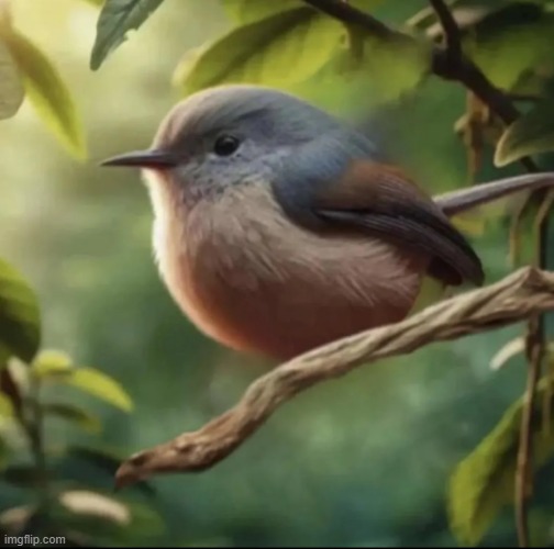 what a nice bird, hopefully there's nothing wrong with it | image tagged in no balls | made w/ Imgflip meme maker