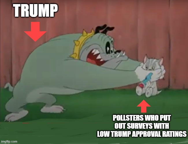Bad Luck Blackie - Trump vs. Pollsters | TRUMP; POLLSTERS WHO PUT OUT SURVEYS WITH LOW TRUMP APPROVAL RATINGS | image tagged in bad luck blackie,kitten and bulldog,donald trump,pollsters,i hate donald trump | made w/ Imgflip meme maker