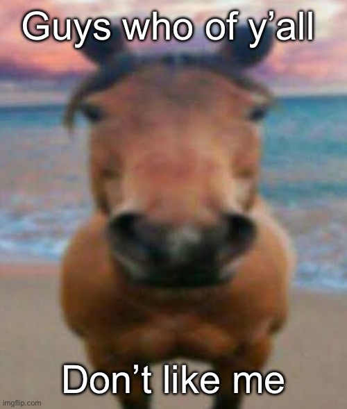 I need to know who the mfs are | Guys who of y’all; Don’t like me | image tagged in evil horse | made w/ Imgflip meme maker