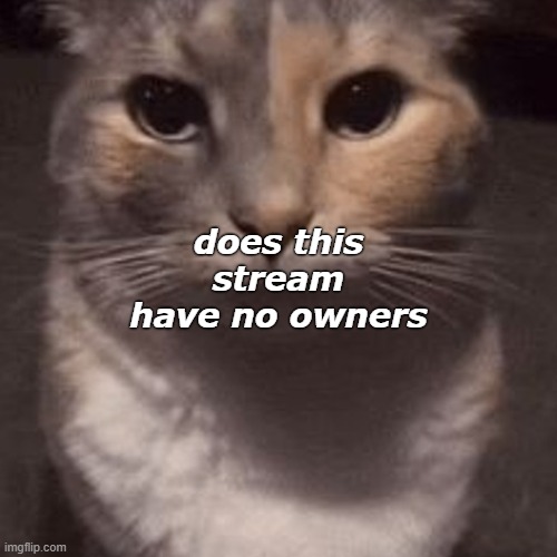 does this stream have no owners | made w/ Imgflip meme maker