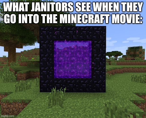 The Nether | WHAT JANITORS SEE WHEN THEY GO INTO THE MINECRAFT MOVIE: | image tagged in neither portal,minecraft movie | made w/ Imgflip meme maker