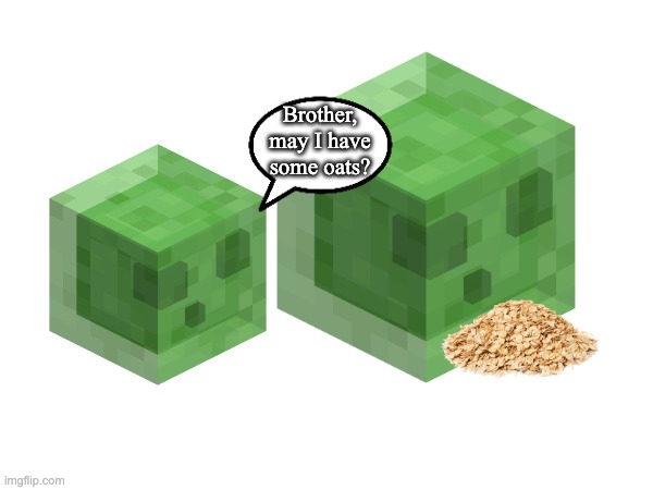 Brother, may I have some oats? | image tagged in memes,minecraft,slime,pig,random,oh wow are you actually reading these tags | made w/ Imgflip meme maker