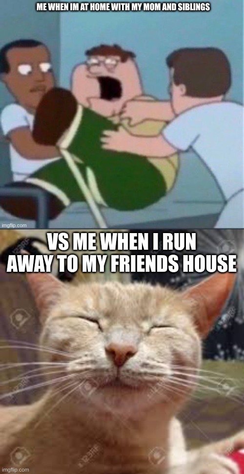 ME WHEN IM AT HOME WITH MY MOM AND SIBLINGS; VS ME WHEN I RUN AWAY TO MY FRIENDS HOUSE | image tagged in peter insane | made w/ Imgflip meme maker