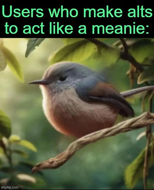 . | Users who make alts to act like a meanie: | image tagged in no balls | made w/ Imgflip meme maker