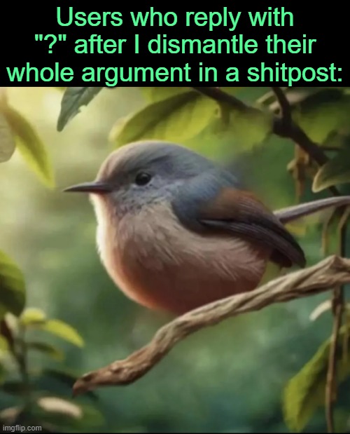 . | Users who reply with "?" after I dismantle their whole argument in a shitpost: | image tagged in no balls | made w/ Imgflip meme maker