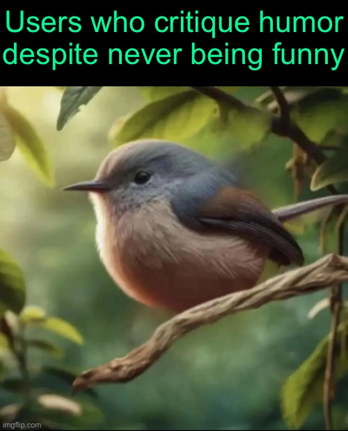 No balls | Users who critique humor
despite never being funny | image tagged in no balls | made w/ Imgflip meme maker