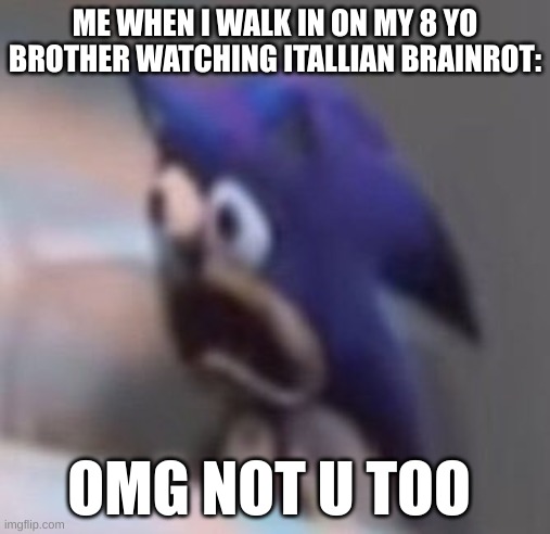 whyyyyyyyyy | ME WHEN I WALK IN ON MY 8 YO BROTHER WATCHING ITALLIAN BRAINROT:; OMG NOT U TOO | image tagged in traumatised sonic | made w/ Imgflip meme maker