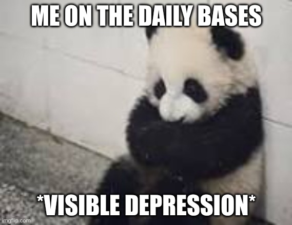 sad panda | ME ON THE DAILY BASES; *VISIBLE DEPRESSION* | image tagged in sad panda | made w/ Imgflip meme maker