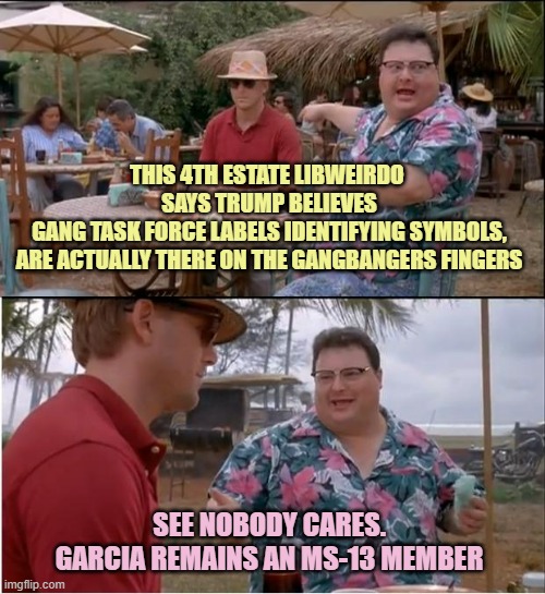 See Nobody Cares Meme | THIS 4TH ESTATE LIBWEIRDO 
SAYS TRUMP BELIEVES
GANG TASK FORCE LABELS IDENTIFYING SYMBOLS,
ARE ACTUALLY THERE ON THE GANGBANGERS FINGERS; SEE NOBODY CARES.
GARCIA REMAINS AN MS-13 MEMBER | image tagged in memes,see nobody cares | made w/ Imgflip meme maker