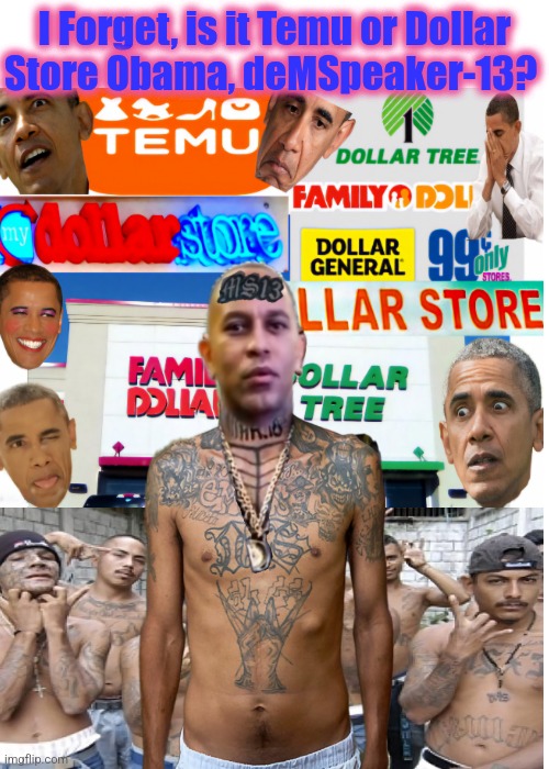 I Forget, is it Temu or Dollar
Store Obama, deMSpeaker-13? | image tagged in politics,political meme | made w/ Imgflip meme maker