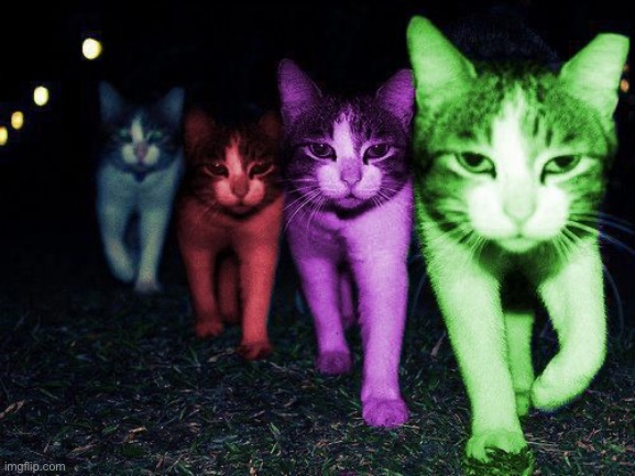 Wrong Neighborhood RayCats | image tagged in wrong neighborhood raycats | made w/ Imgflip meme maker