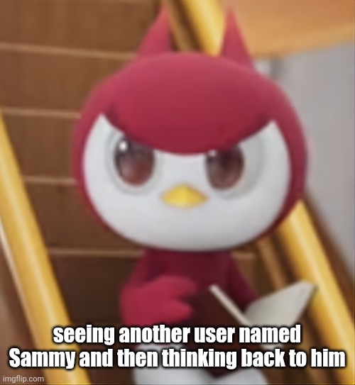 BOOK ❗️ | seeing another user named Sammy and then thinking back to him | image tagged in book | made w/ Imgflip meme maker