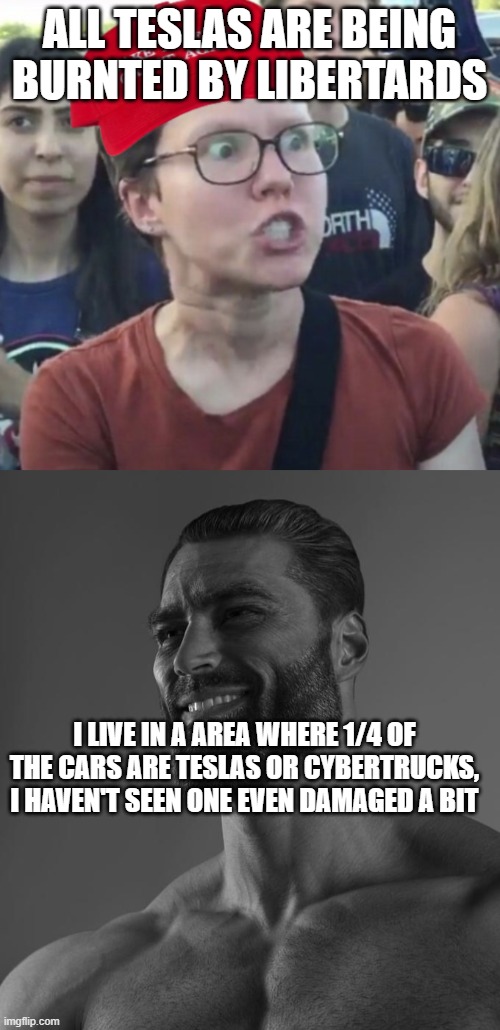 Maga would say Burnted | ALL TESLAS ARE BEING BURNTED BY LIBERTARDS; I LIVE IN A AREA WHERE 1/4 OF THE CARS ARE TESLAS OR CYBERTRUCKS, I HAVEN'T SEEN ONE EVEN DAMAGED A BIT | image tagged in maga loser,sigma male,burn | made w/ Imgflip meme maker