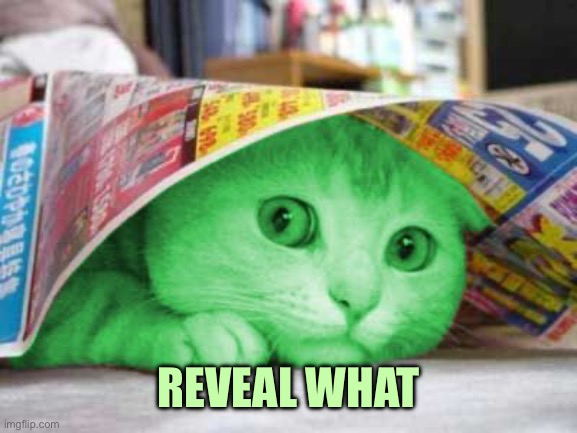 REVEAL WHAT | image tagged in raycat scared | made w/ Imgflip meme maker