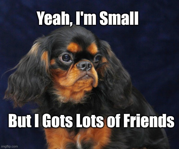 Cav KC I Got FriendsSmall with Friends | Yeah, I'm Small; But I Gots Lots of Friends | image tagged in cav kc | made w/ Imgflip meme maker