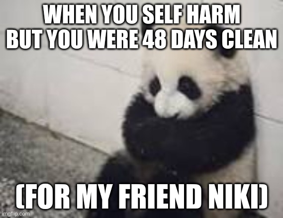 sad panda | WHEN YOU SELF HARM BUT YOU WERE 48 DAYS CLEAN; (FOR MY FRIEND NIKI) | image tagged in sad panda | made w/ Imgflip meme maker