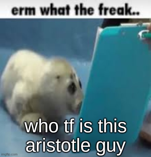 erm what the freak.. | who tf is this aristotle guy | image tagged in erm what the freak | made w/ Imgflip meme maker
