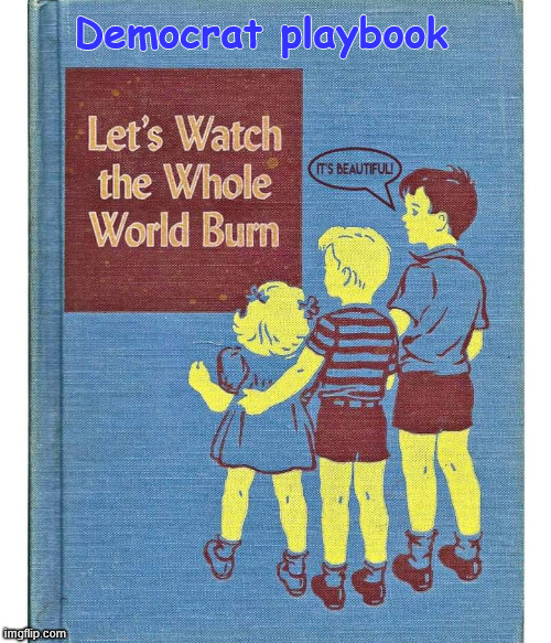 Democrat playbook | made w/ Imgflip meme maker