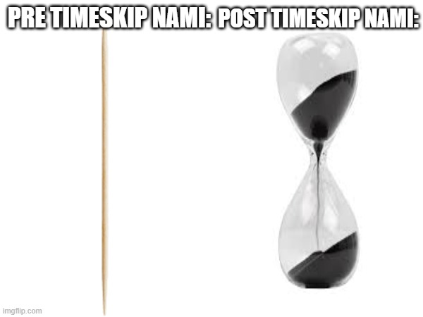 nami transition | PRE TIMESKIP NAMI:; POST TIMESKIP NAMI: | image tagged in nami,one piece,vecnaslastfollower,hitler | made w/ Imgflip meme maker