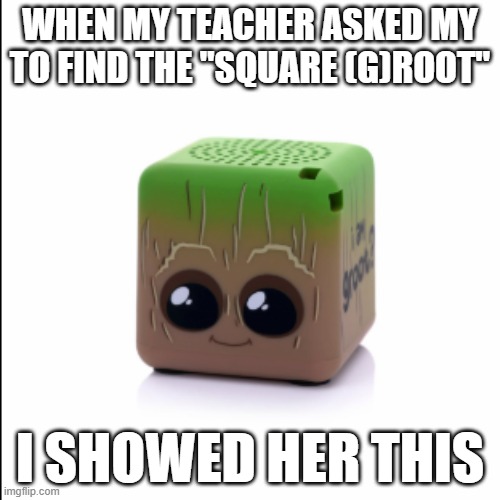 WHEN MY TEACHER ASKED MY TO FIND THE "SQUARE (G)ROOT"; I SHOWED HER THIS | made w/ Imgflip meme maker