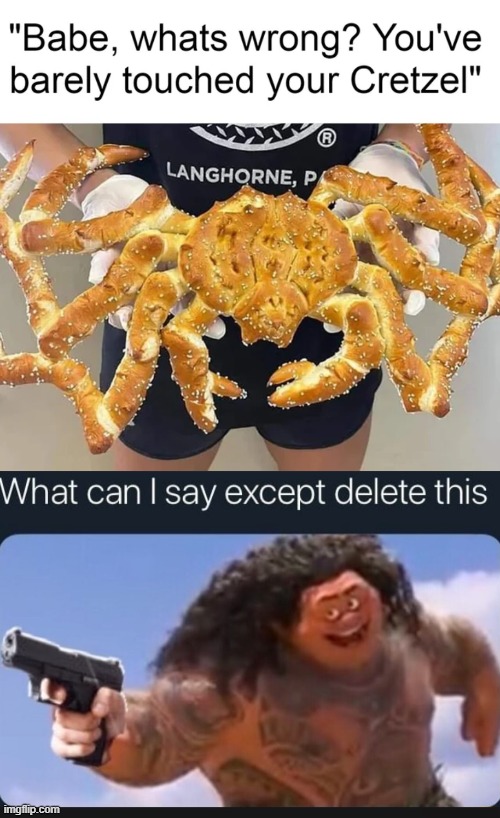 the cretzel | image tagged in what can i say except delete this | made w/ Imgflip meme maker
