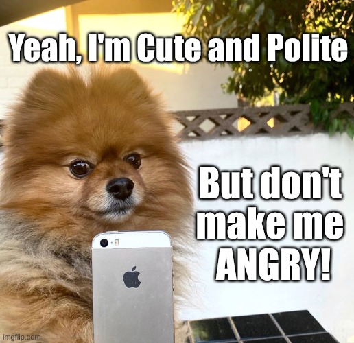 Pom Cute and Angry | Yeah, I'm Cute and Polite; But don't 
make me 
ANGRY! | image tagged in pom w phone,cute and angry | made w/ Imgflip meme maker