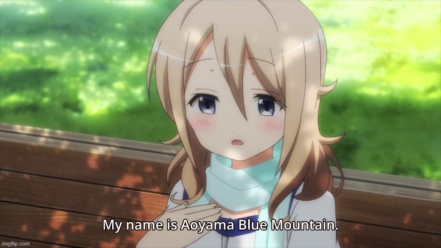 bleu mountain | image tagged in is the order a rabbit | made w/ Imgflip meme maker