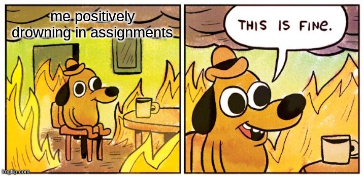 This Is Fine | me positively drowning in assignments | image tagged in memes,this is fine | made w/ Imgflip meme maker