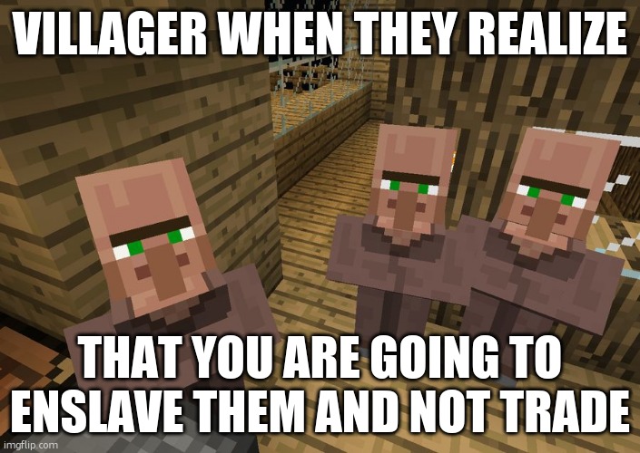 oh no | VILLAGER WHEN THEY REALIZE; THAT YOU ARE GOING TO ENSLAVE THEM AND NOT TRADE | image tagged in minecraft villagers | made w/ Imgflip meme maker